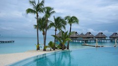 Nature palm trees huts waterscapes hutch