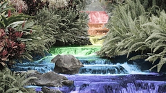 Nature Photoshop rainbow stream manipulation
