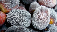 Nature Plants grapes Frozen