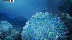 Nature plastic World Wildlife