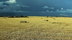 Nature prairie Ukraine haystack