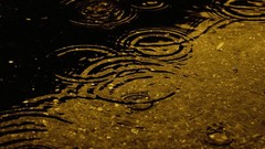 Nature rain ripples