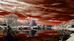 Nature red white strange Frozen bloody