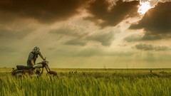 Nature riding Jawa motorbikes