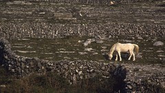 Nature rocks national geographic White Horse
