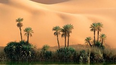 Nature Sahara deserts