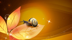 Nature snails