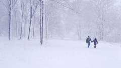 Nature snow snow landscapes