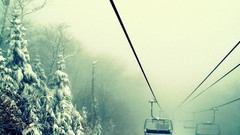 Nature snow winter monochrome forests cable cars