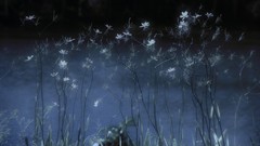 Nature soft light artwork