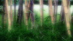 Nature soft light artwork