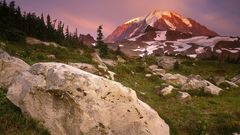 Nature spray Park meadows