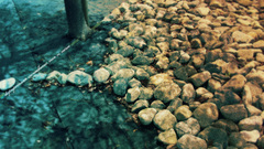 Nature stones pebbles