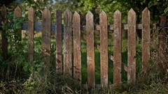 Nature summer countryside Wooden fence fences