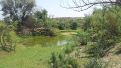 Nature summer iran Parsabad