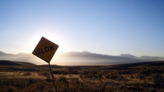 Nature sun sign road sign slow