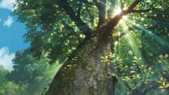 nature sunlight Trees sun rays worm's eye view studio ghibli