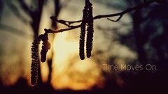 nature sunlight twigs blurred silhouette quote time Typography