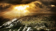 Nature sunlight wilderness