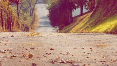 Nature TheYoungTerrorClub