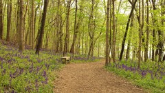 Nature trail Parks Tennessee forests