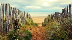 Nature trail Scotland Beaches fences paths shore travel St. 