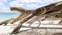 Nature tree trunk blue