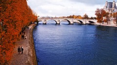 Nature Trees autumn Paris France Plants rivers seine