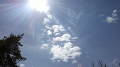 Nature Trees clouds sunray