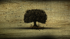 Nature Trees fields October