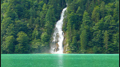 Nature Trees forests waterfalls