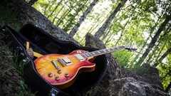 Nature Trees Gibson Musical Instruments instruments guitars 