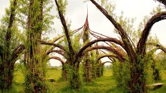 Nature Trees grass bench arcs bower