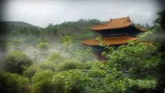 Nature Trees Green China pagoda houses asian architecture