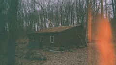 Nature Trees hut houses huts forests