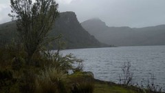 Nature Trees lakes lago paramo