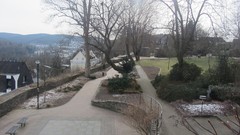 Nature Trees Mountains germany Parks Siegen