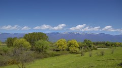 Nature Trees Mountains Greece macedonia Kerkini
