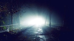 Nature Trees night dark light abstract flash Night watch roads 
