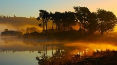 Nature Trees savannah