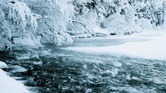 Nature Trees snow ice streams rivers forests nordic