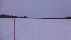 Nature Trees snow skyline forests wilderness