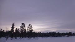 Nature Trees snow skyline forests wilderness