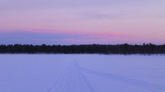 Nature Trees snow skyline forests wilderness