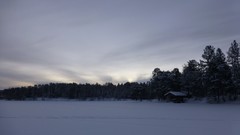 Nature Trees snow skyline forests wilderness