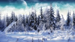 Nature Trees snow winter clouds moon white snowy trees artistic