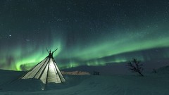 Nature Trees snow winter Green web lights tent Northern