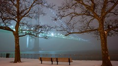 Nature Trees snow winter lights Bridges gps