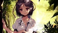 Nature Trees water Books wings Plants hats pens wet red eyes 