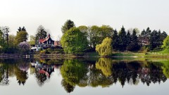 Nature Trees water Plants germany House Herbs ponds